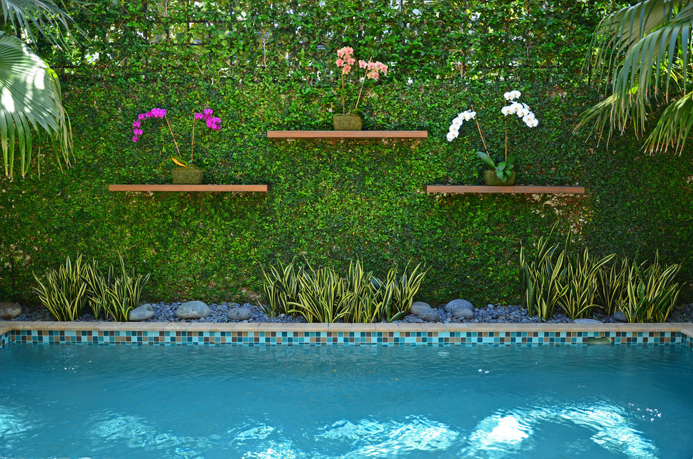 Diseño de piscinas y jacuzzis alargados contemporáneos de tamaño medio rectangulares en patio trasero con adoquines de hormigón
