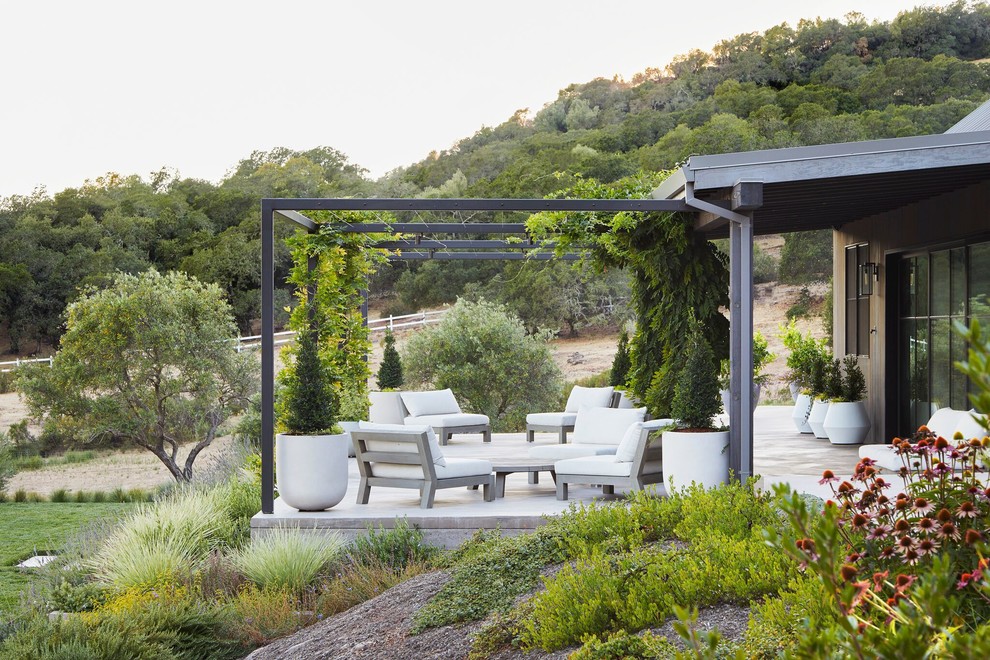 Große Country Veranda hinter dem Haus mit Betonboden, Kübelpflanzen und Pergola in San Francisco