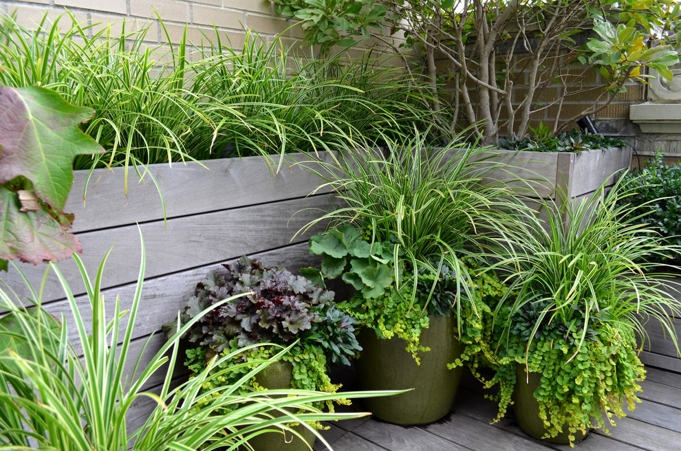 This is an example of a traditional porch design in New York with decking.
