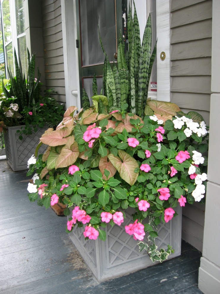 Источник вдохновения для домашнего уюта: веранда среднего размера на переднем дворе в классическом стиле с растениями в контейнерах, настилом и навесом