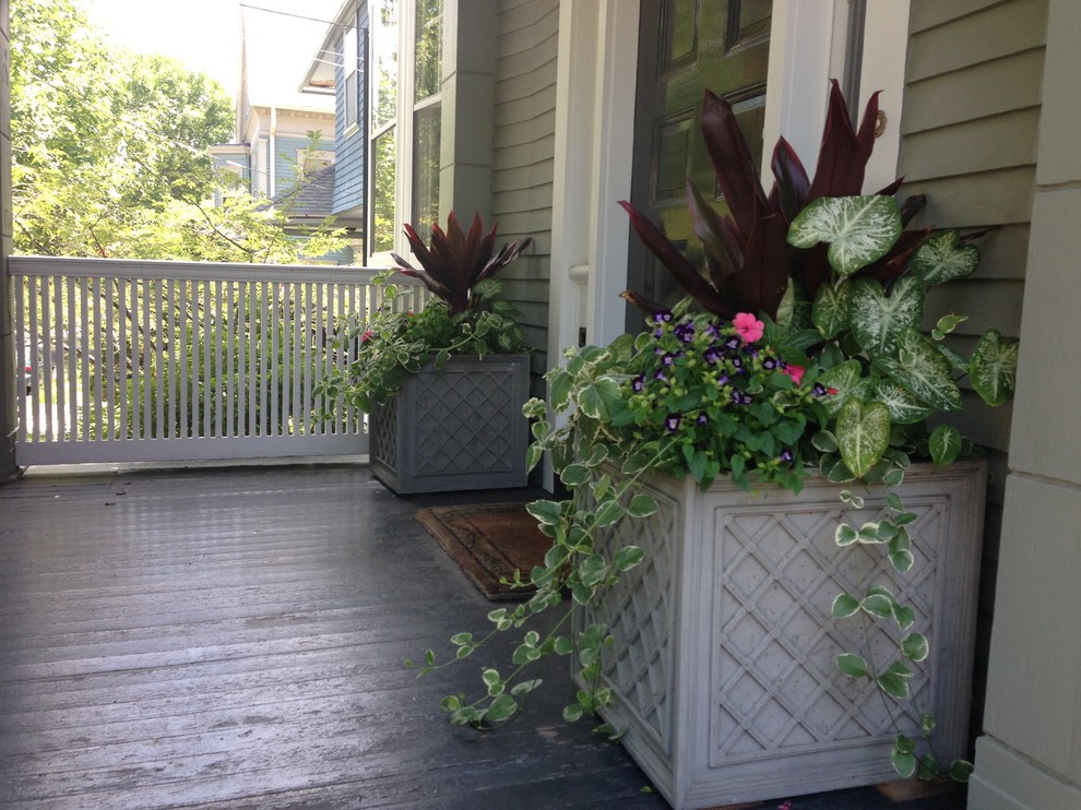 На фото: веранда среднего размера на переднем дворе в классическом стиле с растениями в контейнерах, настилом и навесом с