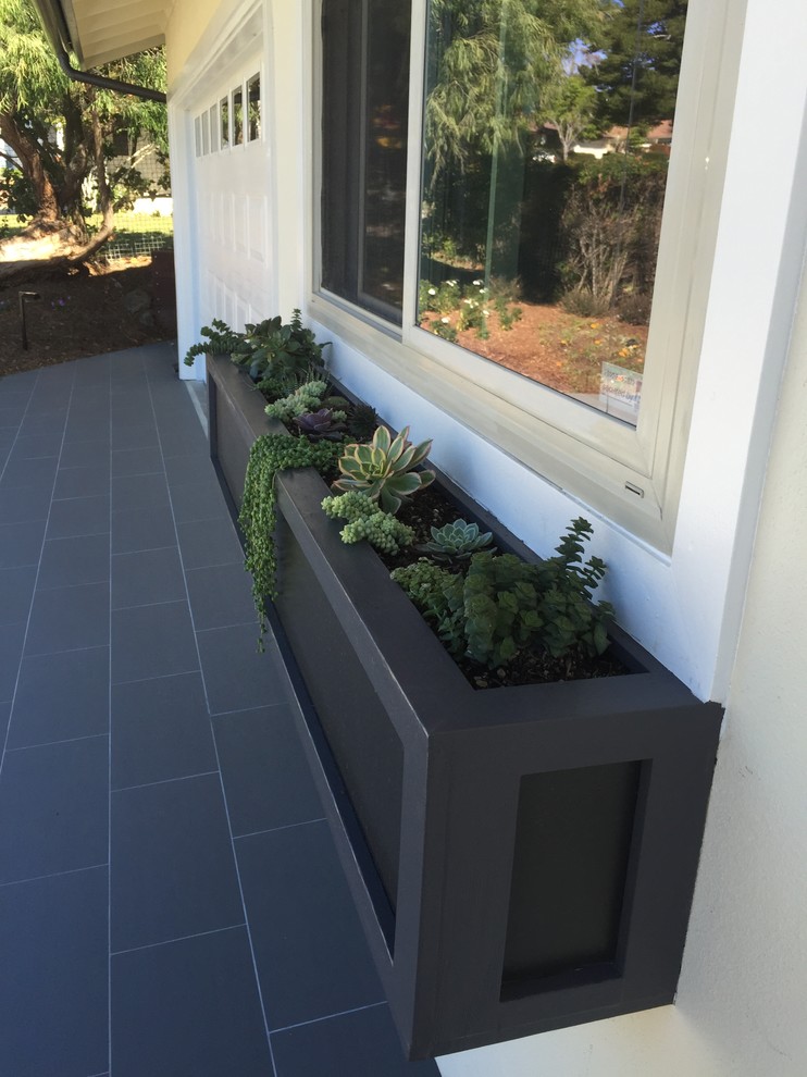 Ejemplo de terraza minimalista en patio delantero y anexo de casas con jardín de macetas