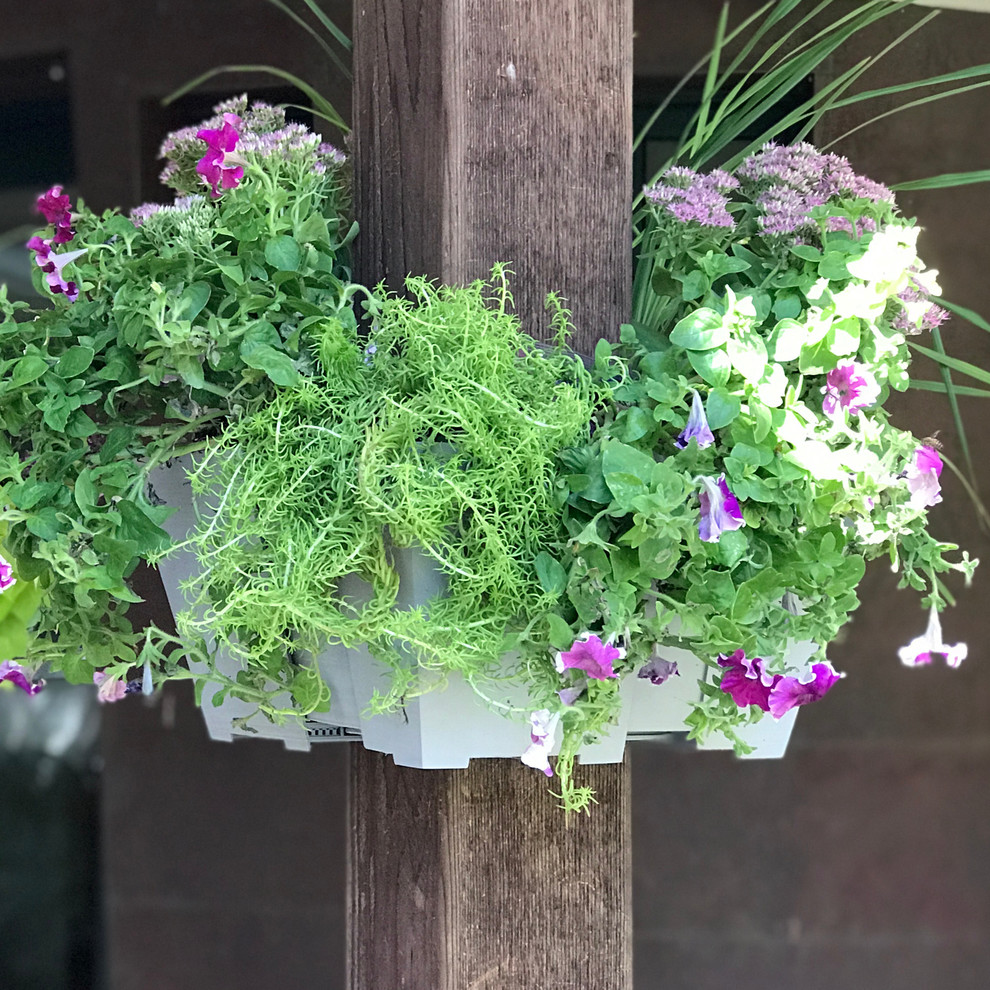 Свежая идея для дизайна: пергола на веранде среднего размера на переднем дворе в стиле шебби-шик с растениями в контейнерах - отличное фото интерьера