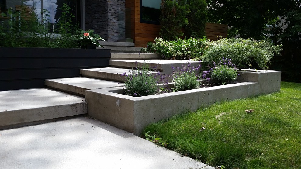 Modelo de terraza minimalista de tamaño medio en patio delantero con suelo de hormigón estampado