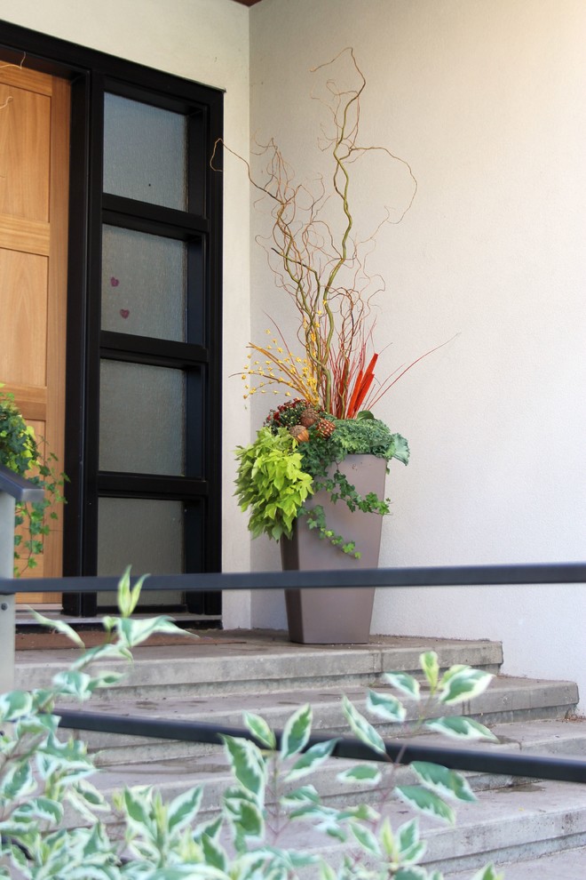 Inspiration for a small modern front veranda in Calgary with a potted garden and concrete paving.