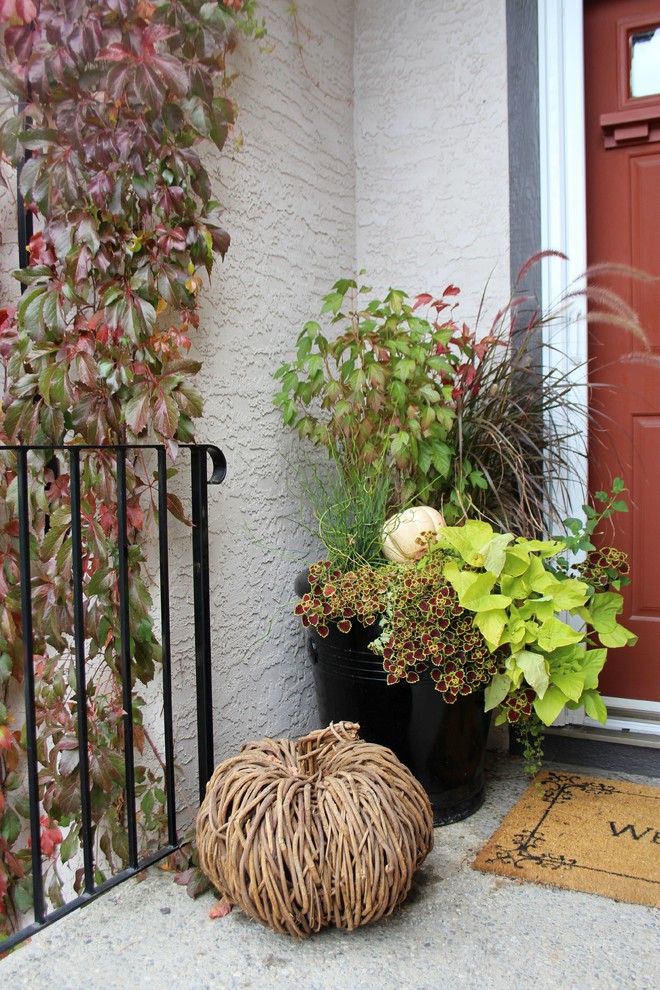 Foto di un piccolo portico country davanti casa con un giardino in vaso e pavimentazioni in cemento
