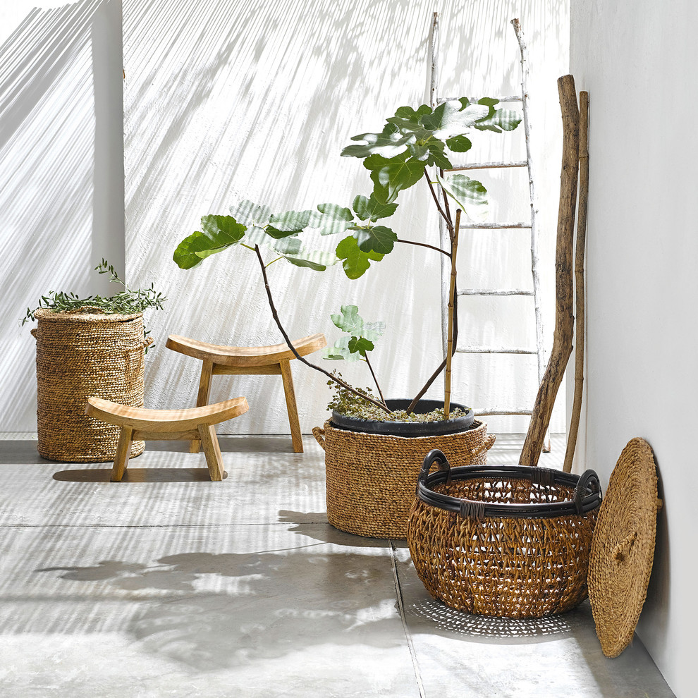 Réalisation d'un porche avec des plantes en pot arrière craftsman de taille moyenne avec une dalle de béton.