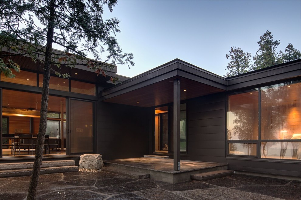 Idées déco pour un grand porche d'entrée de maison avant moderne avec une extension de toiture.