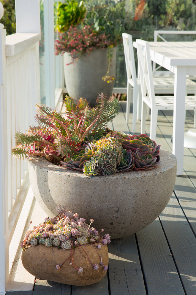 This is an example of a small beach style back veranda in Santa Barbara with decking.