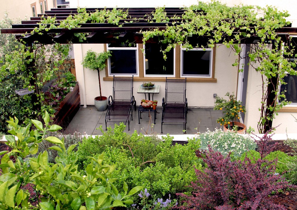 На фото: маленькая пергола на веранде на заднем дворе в стиле рустика с вертикальным садом для на участке и в саду