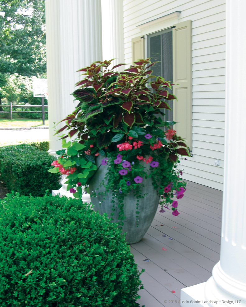Cette image montre un porche avec des plantes en pot avant traditionnel avec une extension de toiture.