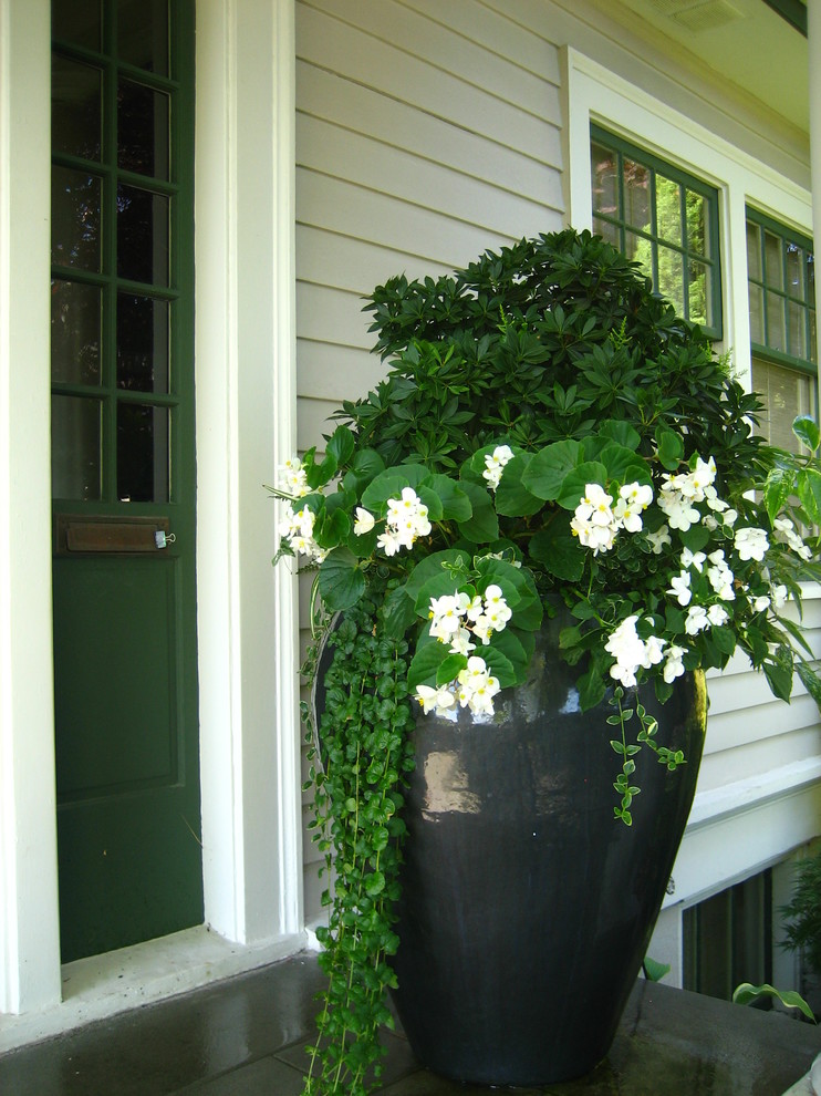 Идея дизайна: маленькая веранда на переднем дворе в стиле кантри с растениями в контейнерах, покрытием из бетонных плит и навесом для на участке и в саду