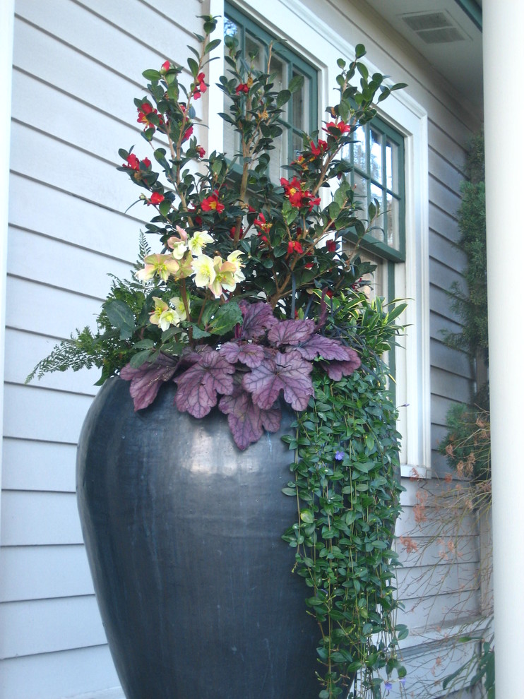 Immagine di un piccolo portico davanti casa con un giardino in vaso, lastre di cemento e un tetto a sbalzo
