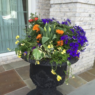 Spring Before and After Pots - Traditional - Porch - New York - by ...