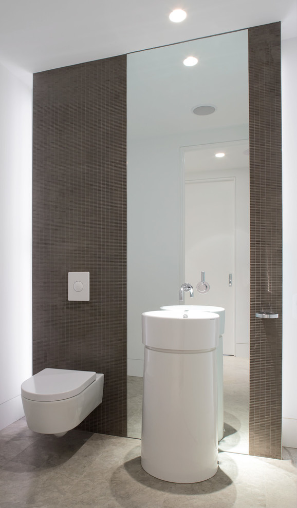 Exempel på ett modernt toalett, med en vägghängd toalettstol och ett piedestal handfat