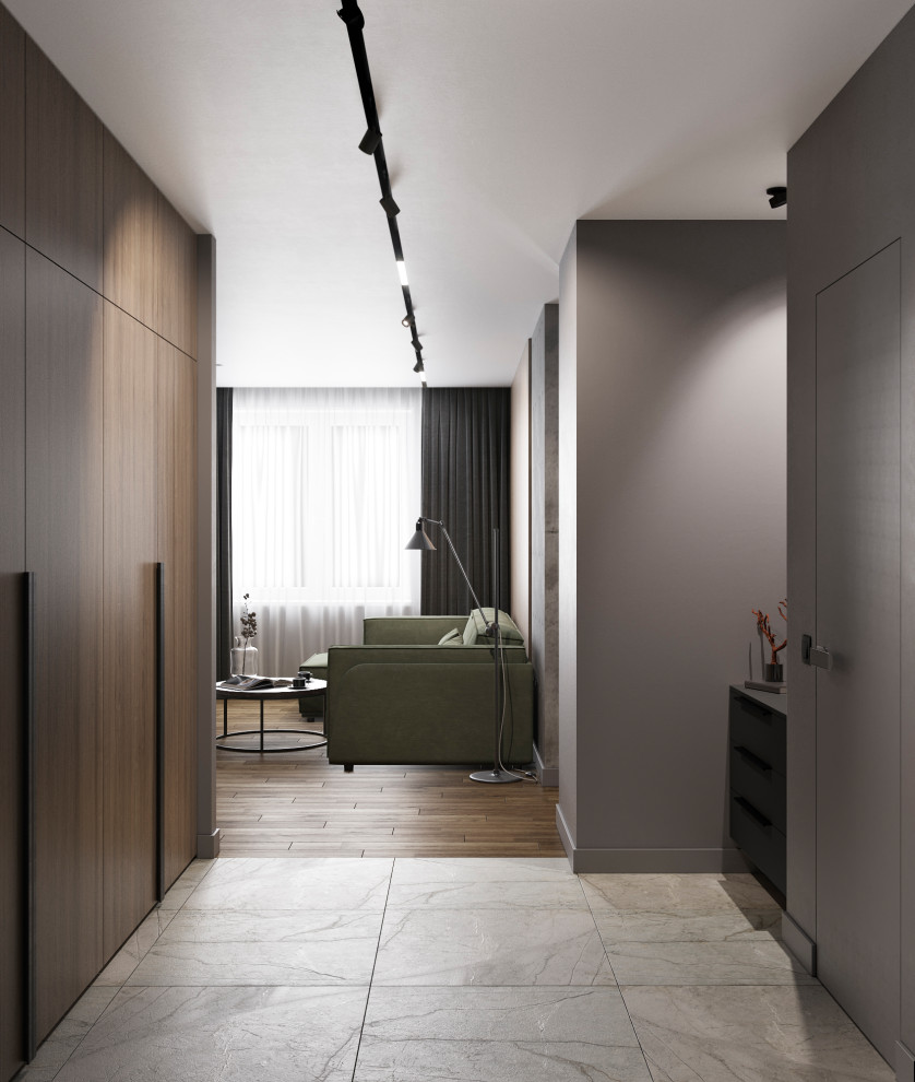 This is an example of a small contemporary hallway in Other with grey walls, porcelain flooring, a single front door, a black front door and grey floors.