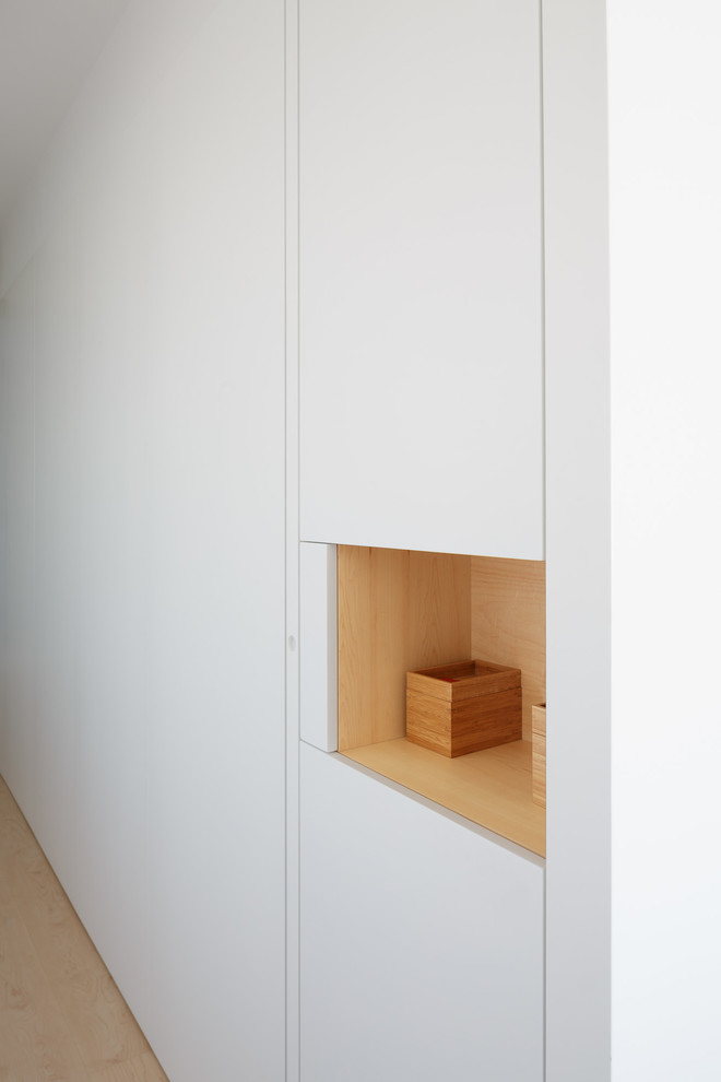 Modelo de recibidores y pasillos minimalistas con paredes blancas y suelo de madera clara