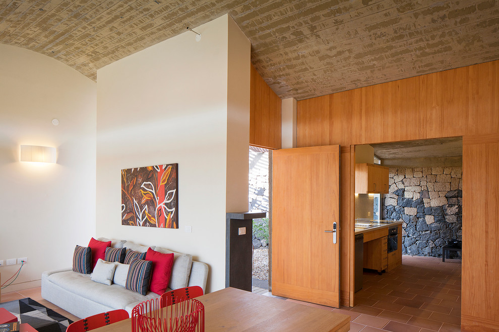 Immagine di un soggiorno design di medie dimensioni e stile loft con pareti beige e pavimento in terracotta