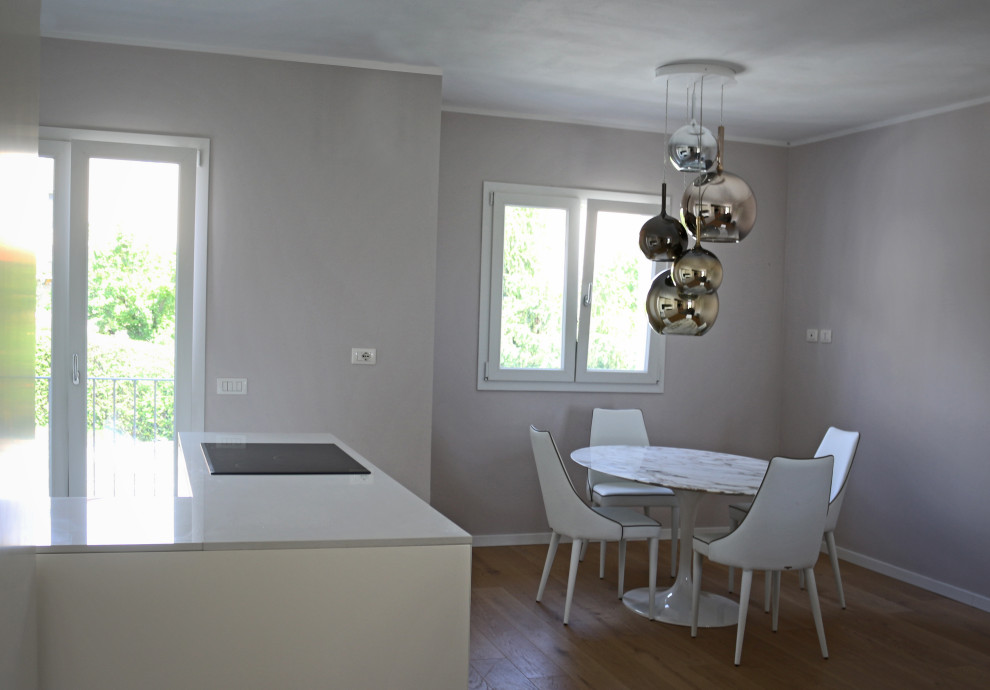 Photo of a medium sized contemporary dining room in Other with light hardwood flooring.