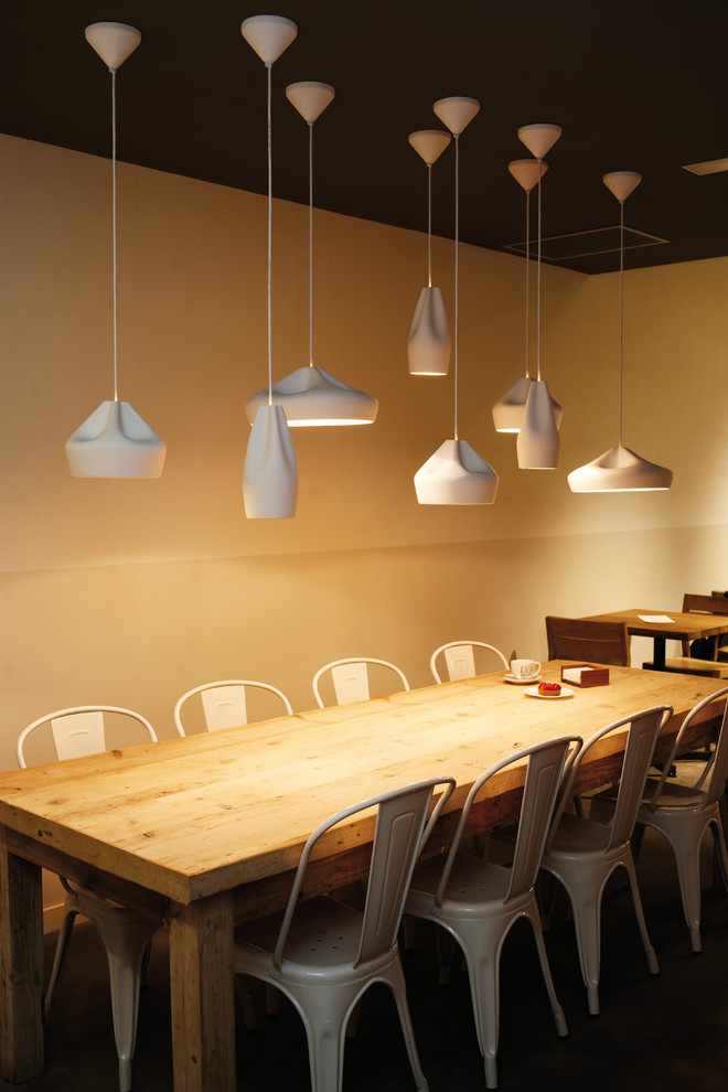 Idées déco pour une salle à manger contemporaine.