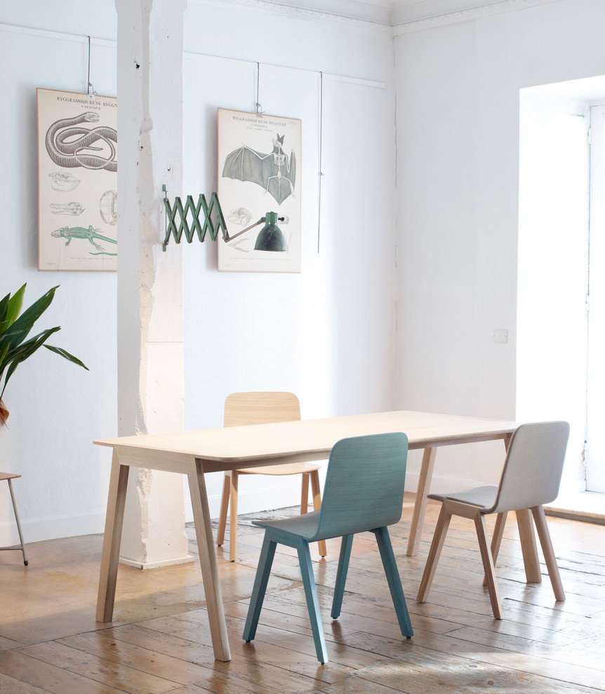 Imagen de comedor contemporáneo de tamaño medio abierto con paredes blancas y suelo de madera en tonos medios