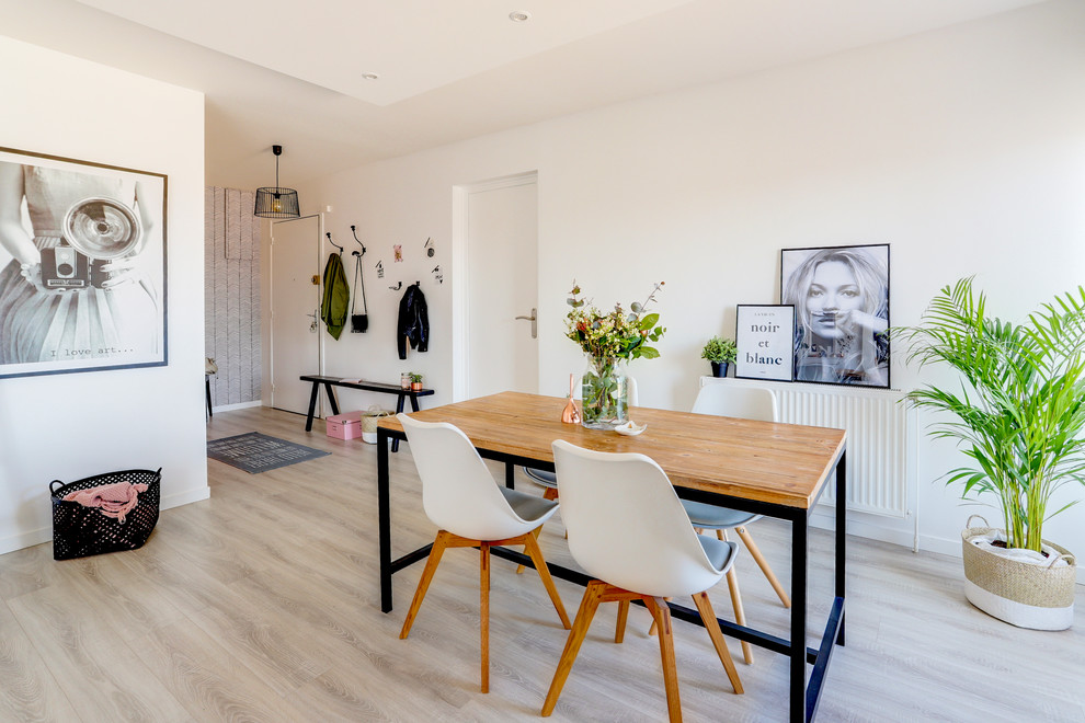 Inspiration for a scandinavian light wood floor great room remodel in Lyon with white walls