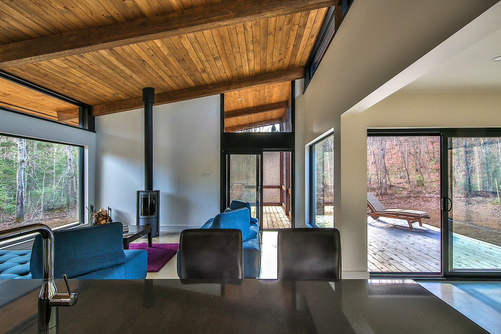 Idee per un soggiorno design di medie dimensioni e aperto con pareti bianche, pavimento in cemento, stufa a legna e nessuna TV