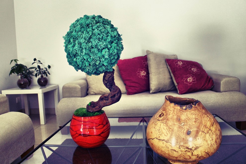 Arbres et bonsaï stabilisés Living Room Marseille by 3dvegetal