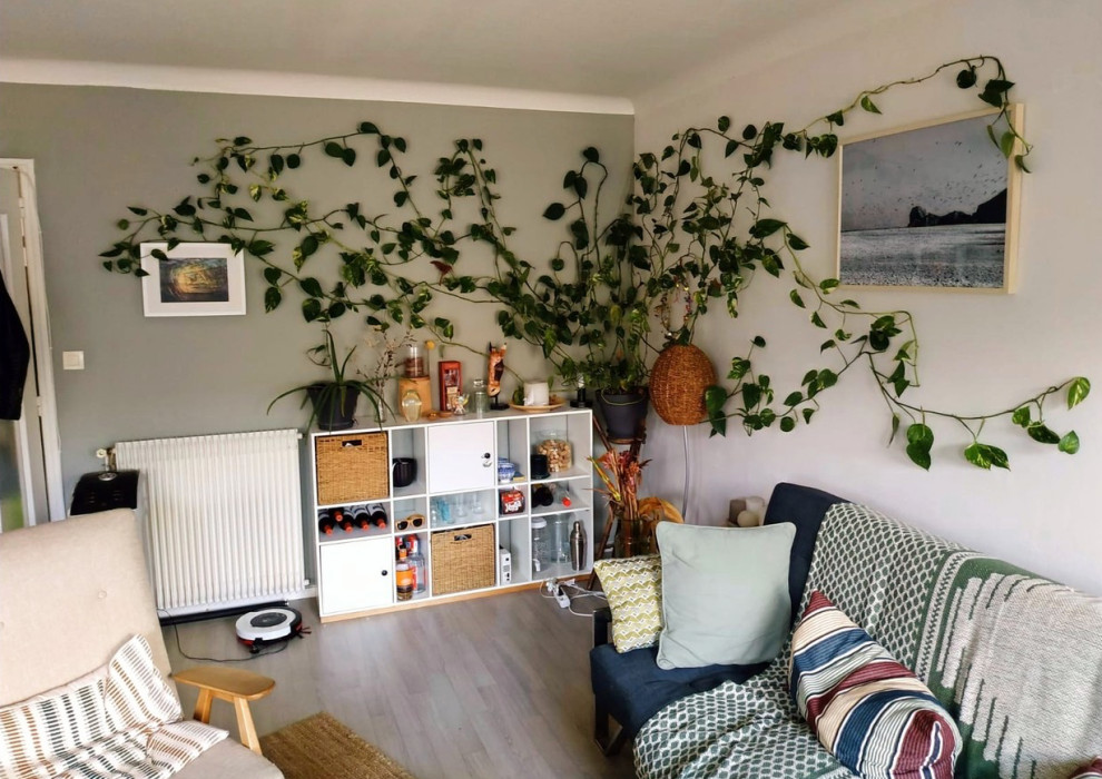 Свежая идея для дизайна: изолированная гостиная комната среднего размера в морском стиле с зелеными стенами, полом из линолеума и серым полом без камина, телевизора - отличное фото интерьера