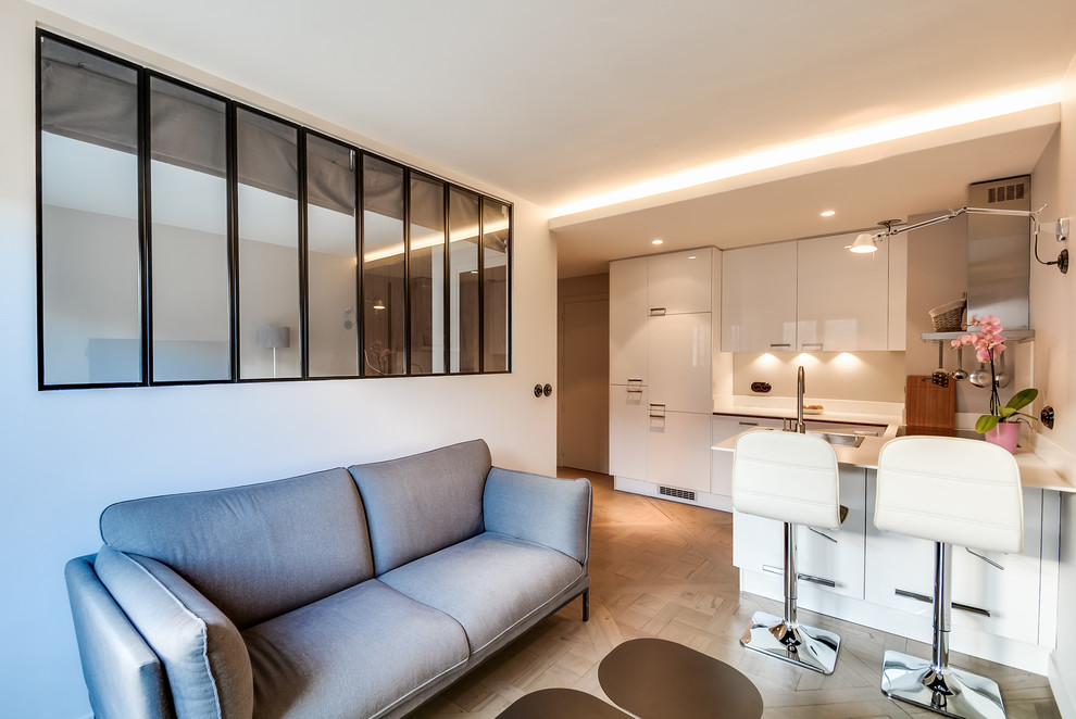 Kleines, Offenes, Fernseherloses Modernes Wohnzimmer ohne Kamin mit weißer Wandfarbe und hellem Holzboden in Paris