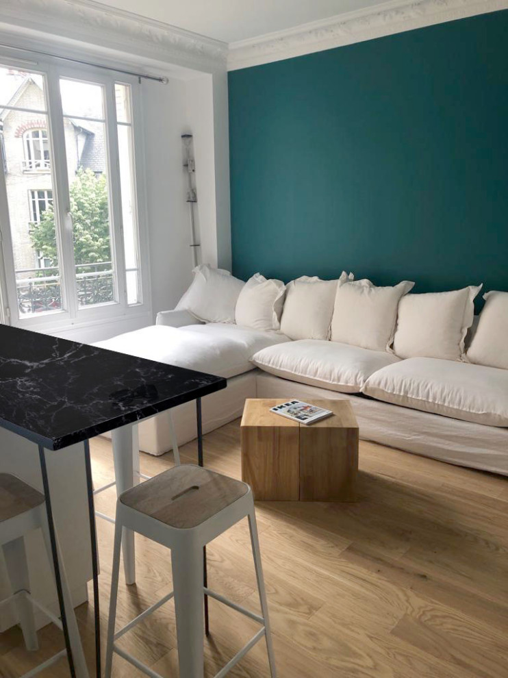 Kleines, Offenes Modernes Wohnzimmer mit grüner Wandfarbe und hellem Holzboden in Paris
