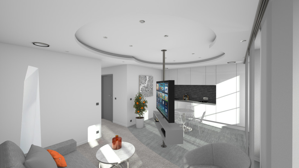 Aménagement d'un grand salon moderne ouvert avec un mur blanc, moquette, un téléviseur indépendant, un sol gris et un plafond décaissé.