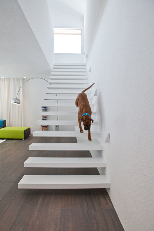 Пример оригинального дизайна: прямая лестница среднего размера в современном стиле с акриловыми ступенями