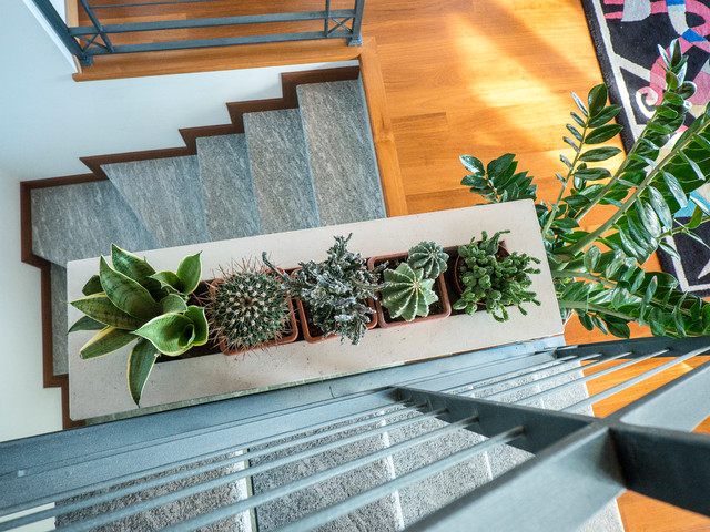 Progetto fioriera - Contemporary - Staircase - Milan - by Liadesign | Houzz