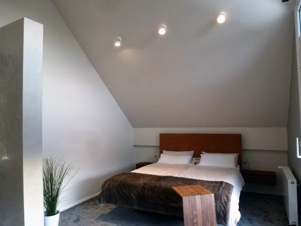 Geräumiges Modernes Hauptschlafzimmer mit beiger Wandfarbe, Teppichboden und grauem Boden in Frankfurt am Main