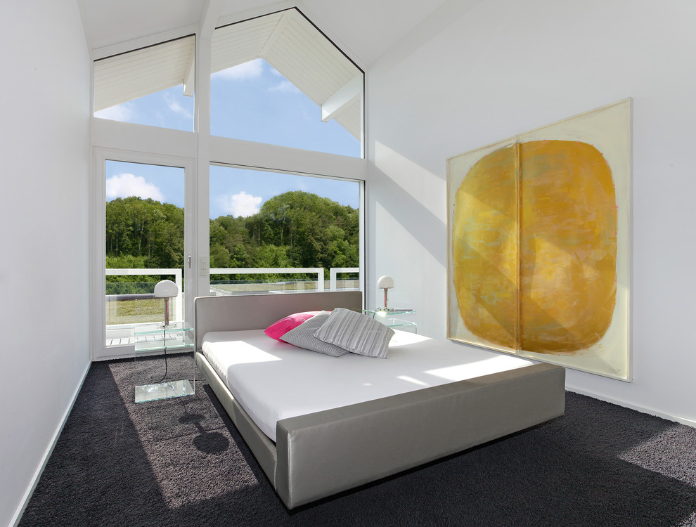 Mittelgroßes Modernes Hauptschlafzimmer ohne Kamin mit weißer Wandfarbe, Teppichboden und braunem Boden in Sonstige