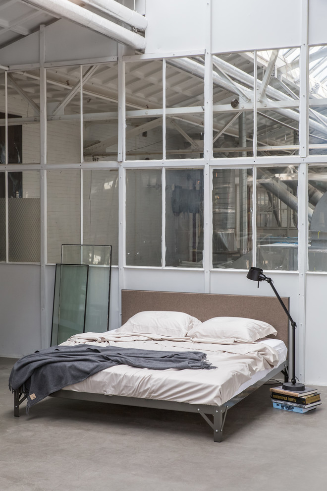 На фото: огромная хозяйская спальня в стиле модернизм с серыми стенами и бетонным полом без камина