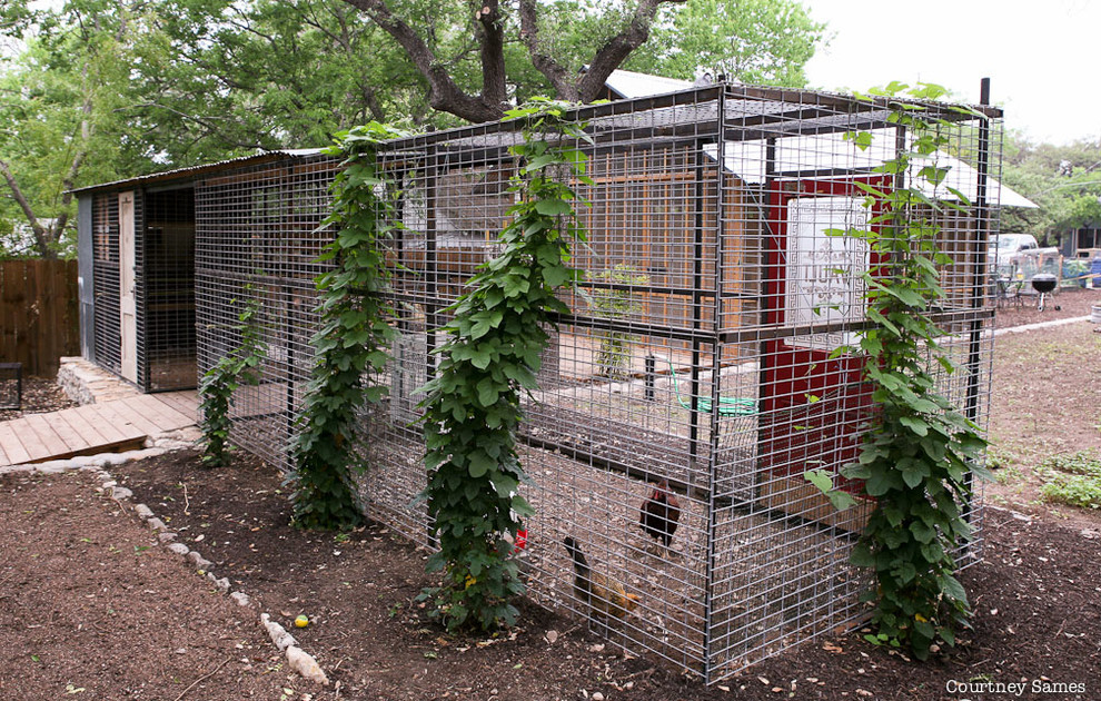 Eklektisches Gartenhaus in Austin