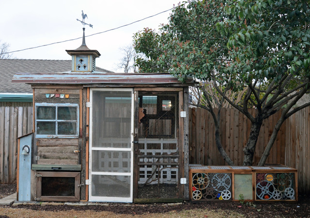 Quirky Meets Practical in a Dallas Chicken Coop