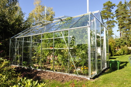 Greenhouse - traditional greenhouse idea in New Orleans