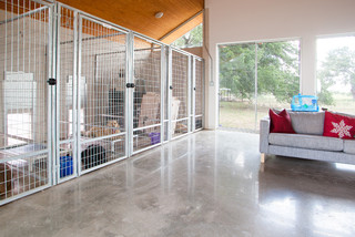 Inside dog kennel ideas cheap