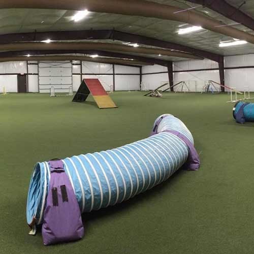 Indoor Dog Agility Turf Abri Minneapolis par Greatmats Houzz