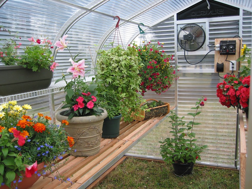 8 ft wide Sunglo Greenhouses Traditional Shed Denver by Sunglo
