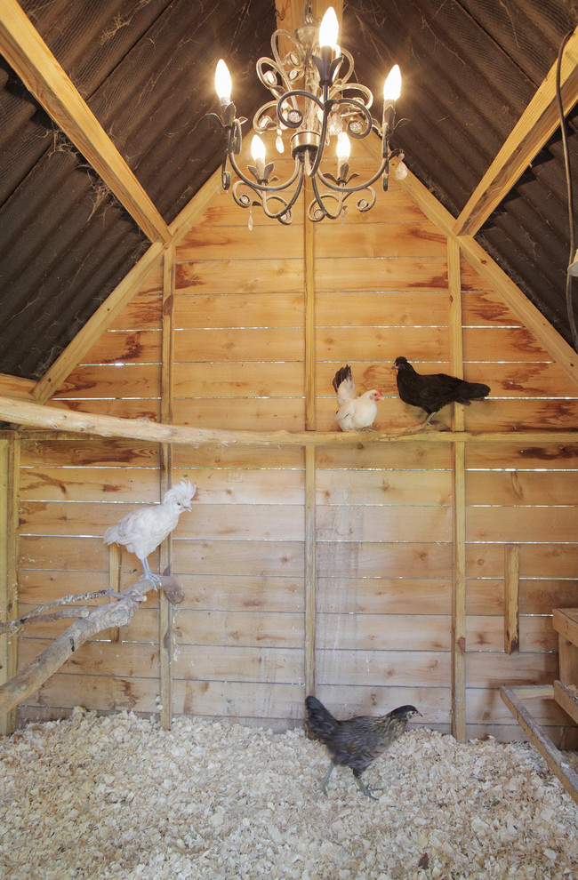 Inspiration for a country shed remodel in Dallas
