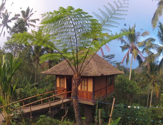 Owner's workspace at the Sarinbuana Eco Lodge - Tropical - Garden Shed and  Building - Other - by PT Bali Greenworld | Houzz IE