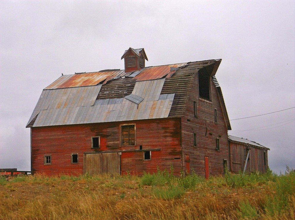 Inspiration for a farmhouse shed remodel in Denver
