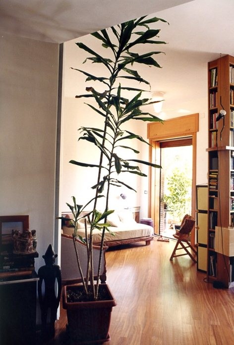 Diseño de sala de estar contemporánea con suelo de madera clara