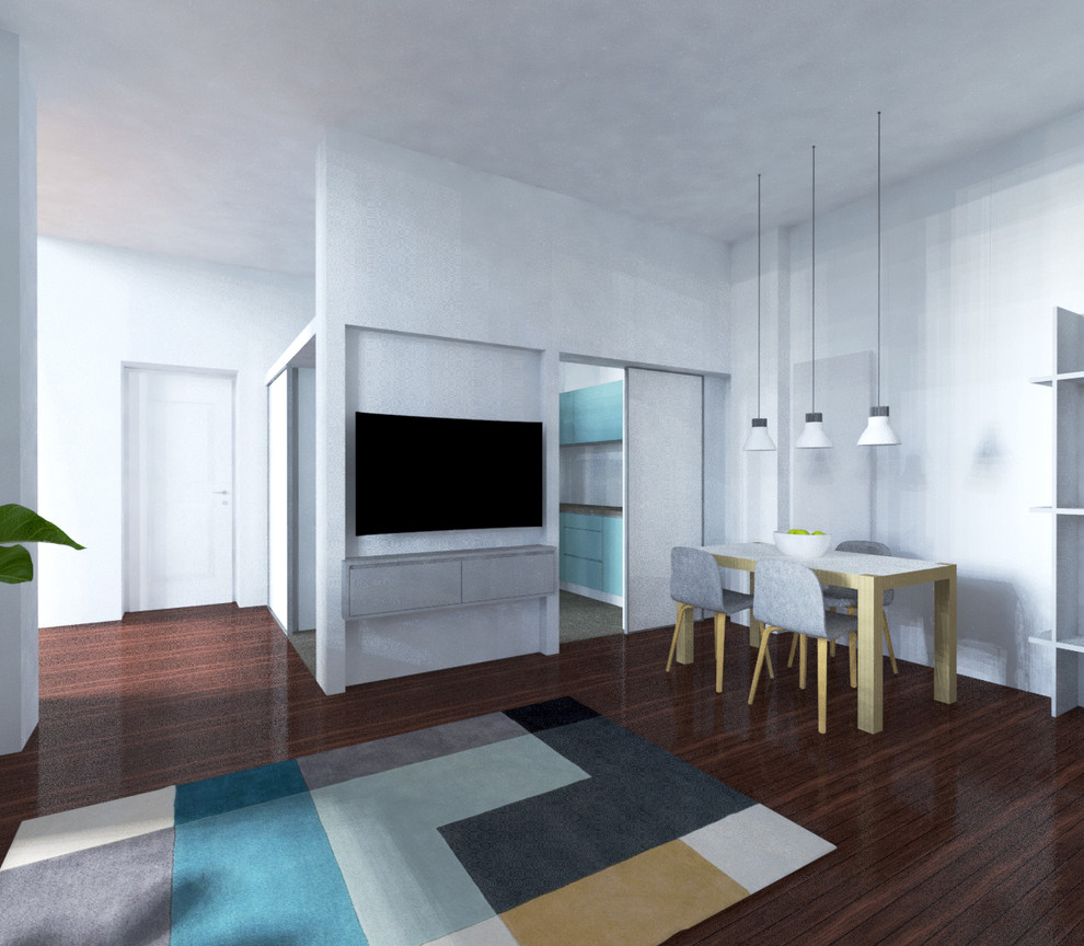 Ispirazione per un piccolo soggiorno minimal con pareti bianche, parquet scuro e TV a parete
