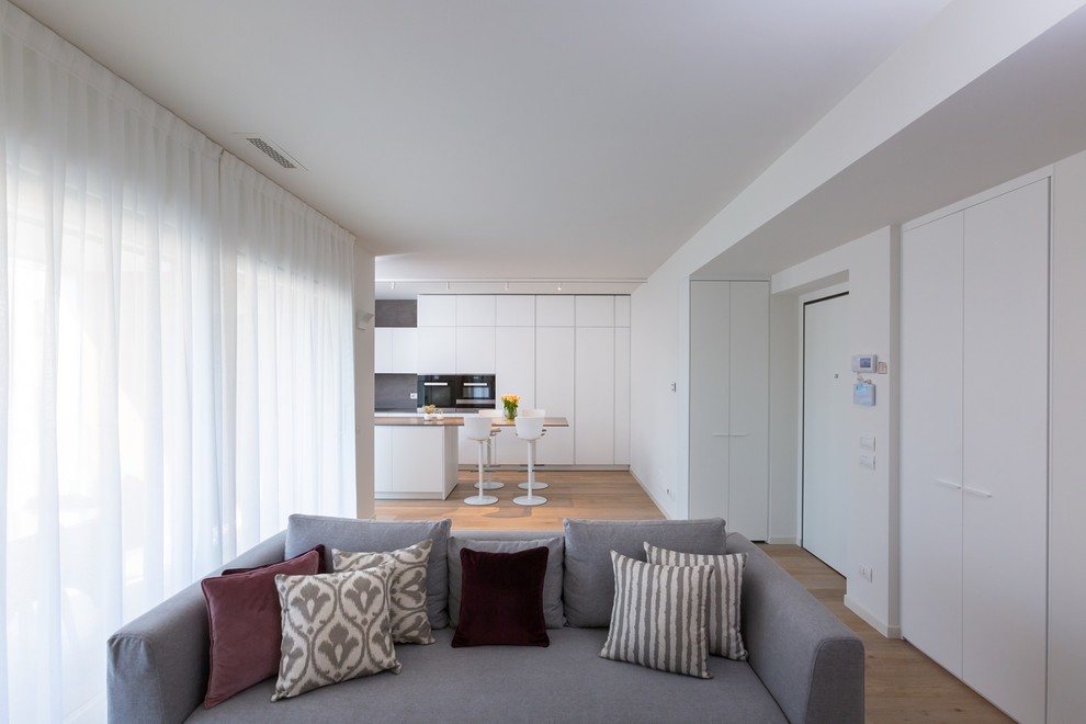 Ispirazione per un soggiorno moderno di medie dimensioni con pareti bianche, parquet chiaro e parete attrezzata