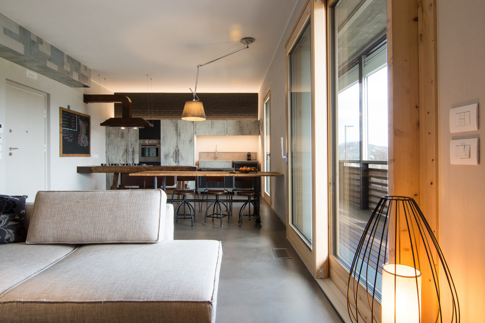 Imagen de sala de estar tipo loft urbana de tamaño medio con paredes grises, suelo de cemento, pared multimedia y suelo gris